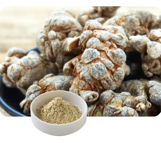 田七人参の写真