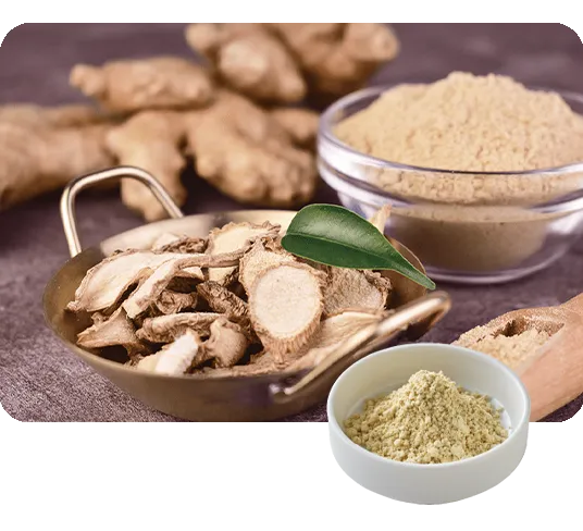 乾燥生姜の写真