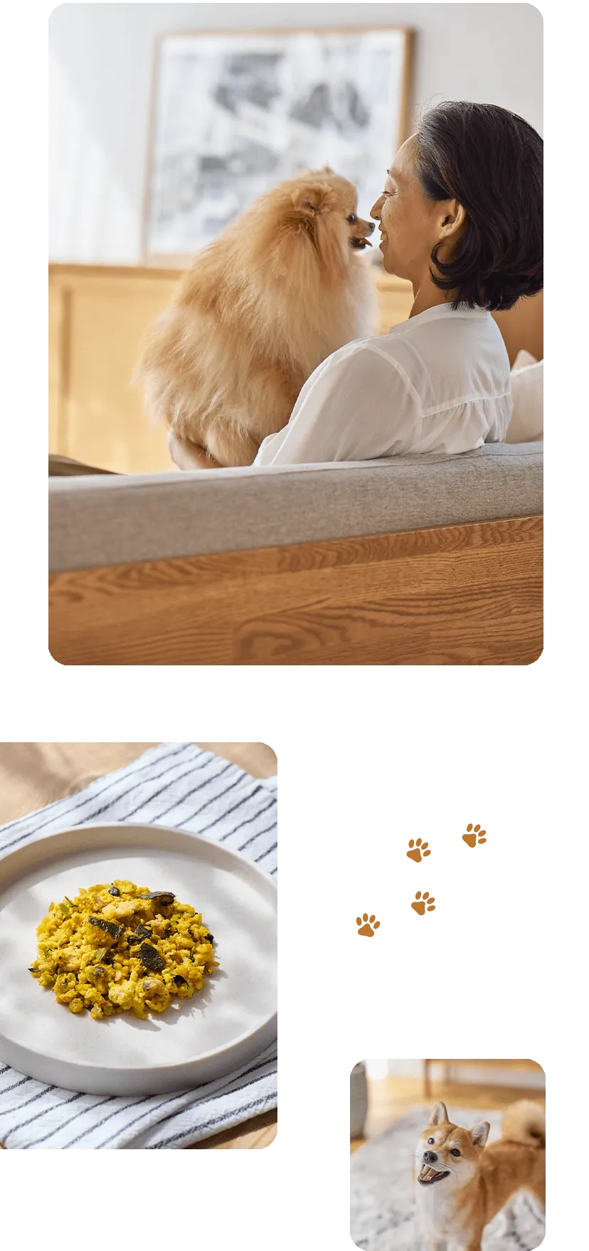 家族と犬がくつろぐイメージ