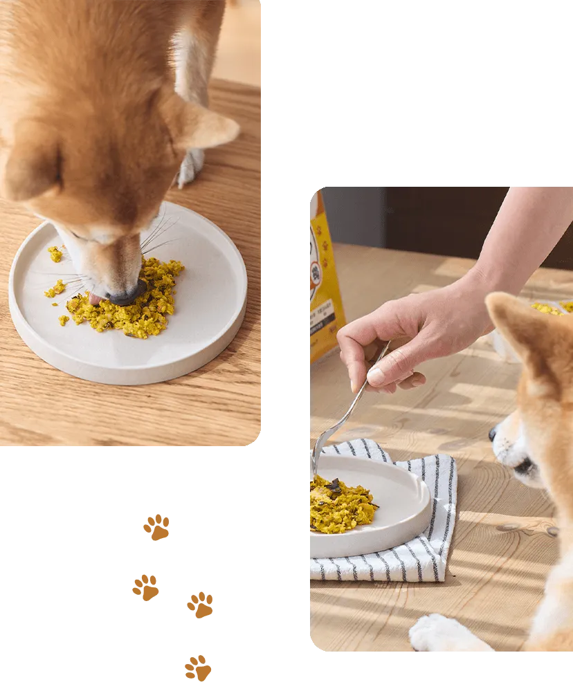 フレッシュミールの盛り付けイメージ