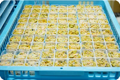 作りたてを急速冷凍する工程