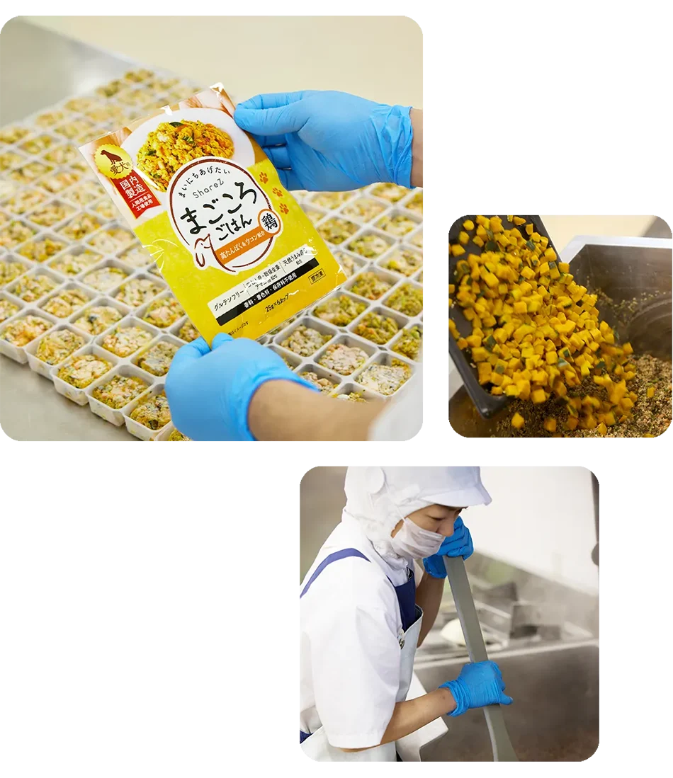 HACCPに対応した国内食品工場の製造イメージ