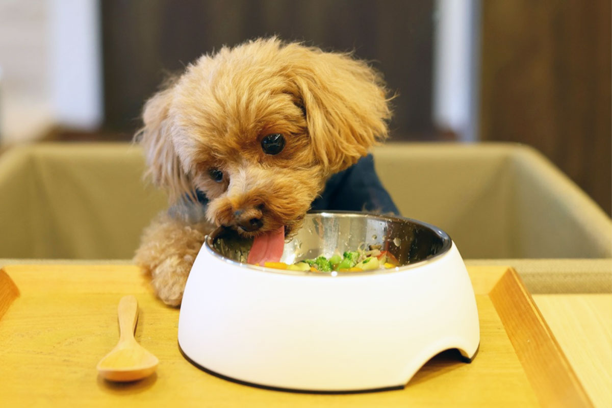 旨み成分（アミノ酸）と香り成分（脂肪酸）のイメージ