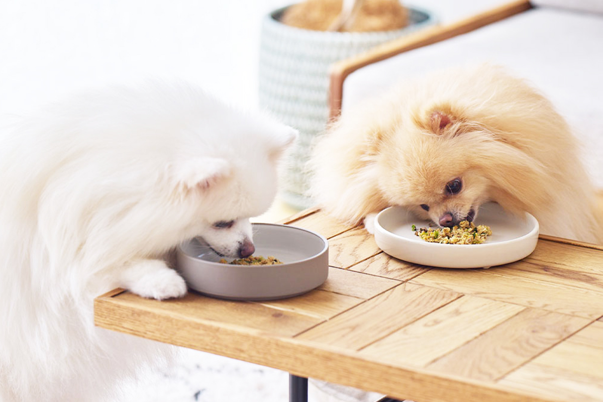 まごころごはんで自然な体質ケア