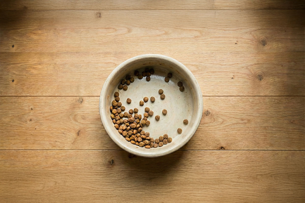 犬の食べ方の個性 早食い 小食 食べムラ