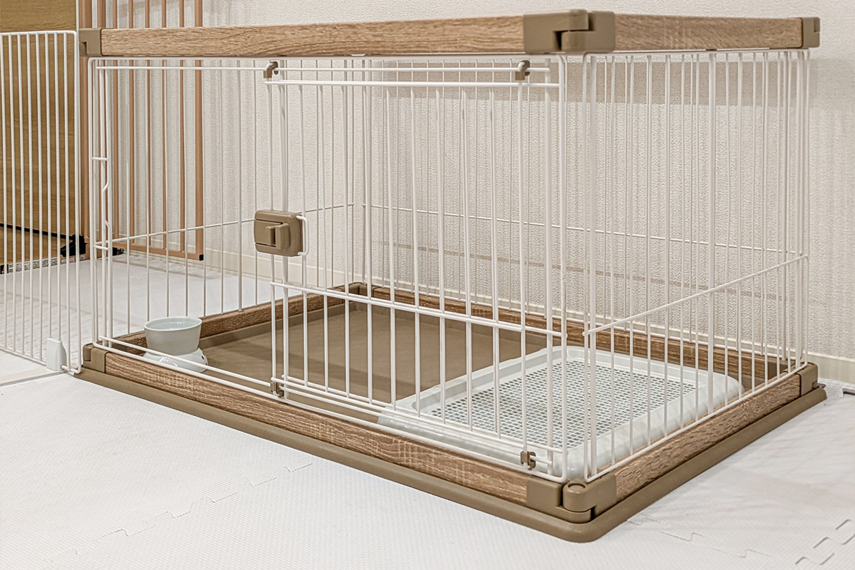 犬の食事時間とトイレの関係