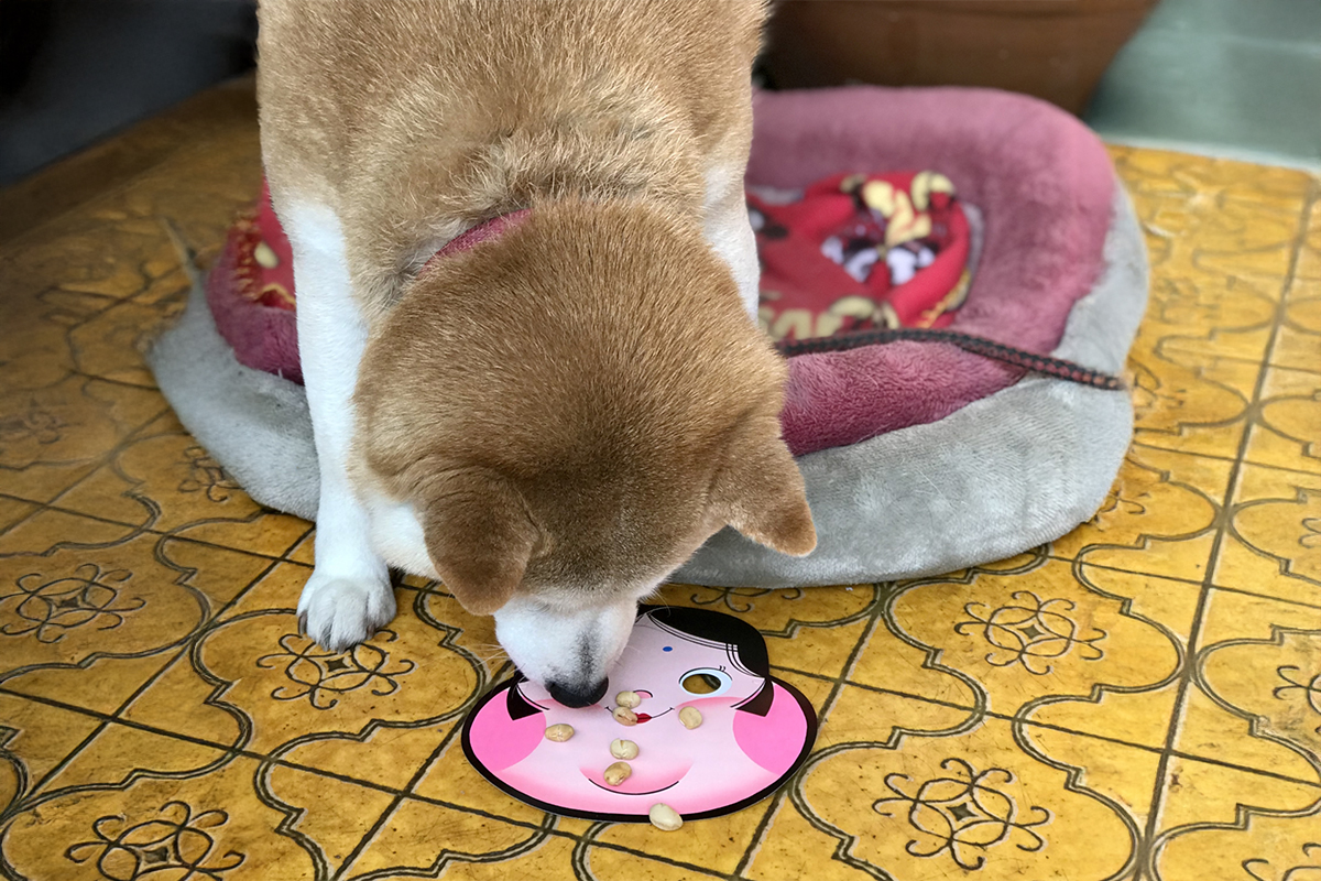 節分 福豆 犬 豆を気にする 誤嚥に注意