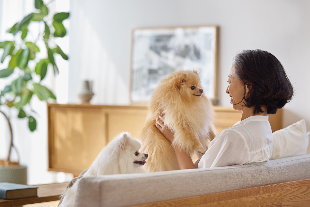 愛犬の様子を見守る飼い主のイメージ