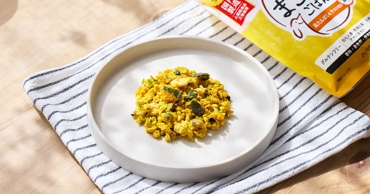 犬と向き合う食事時間のイメージ