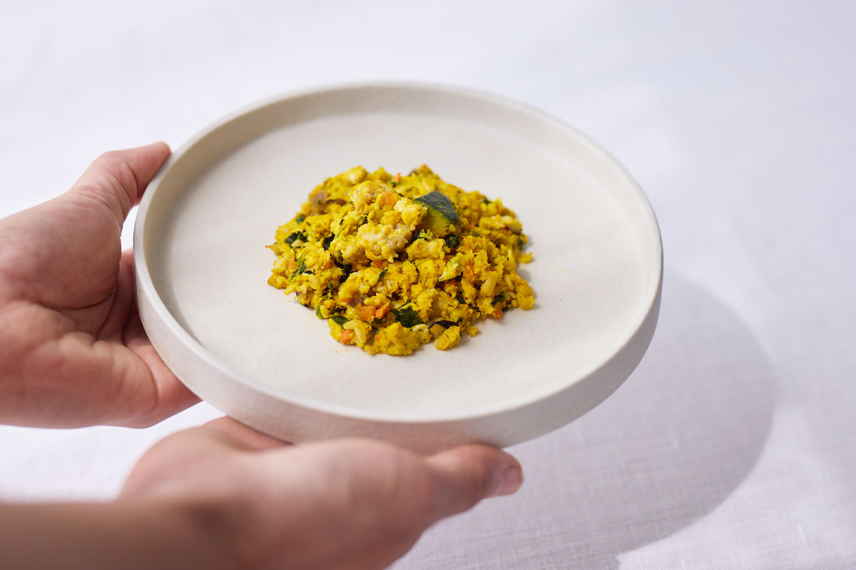 犬のごはんに少し工夫を加えるイメージ