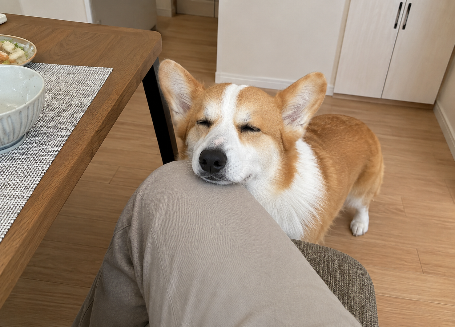 家族の食卓のそばで一緒に過ごす犬