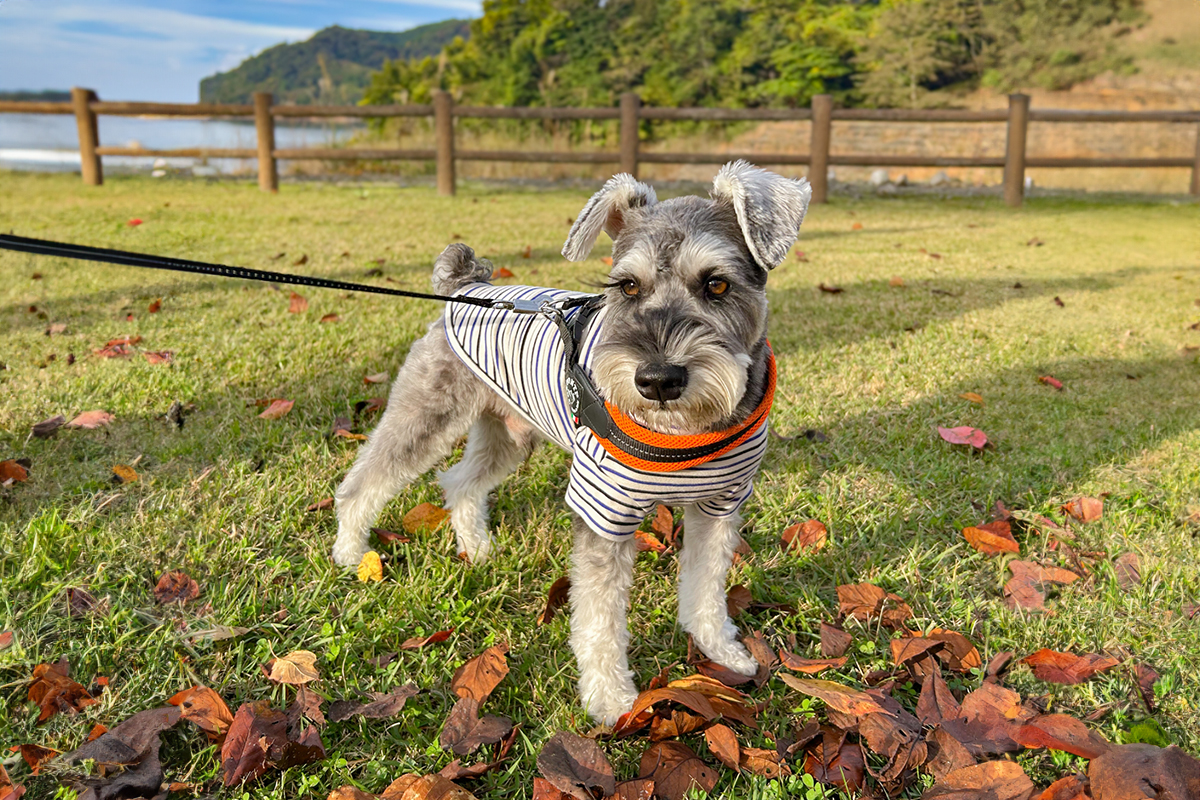 便がゆるい・硬い…その違いから見える体のサイン ～“うんちの調子”は健康のバロメーター～