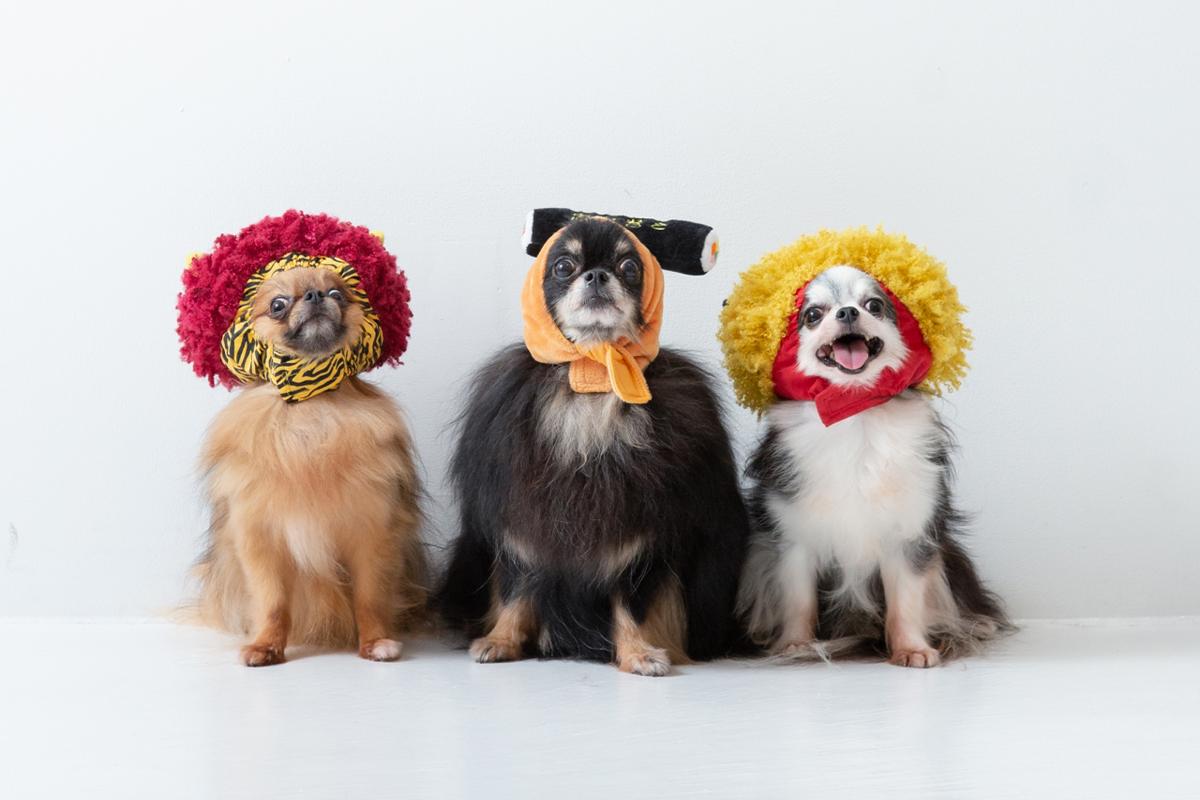 節分、福豆、1年の節目、暮らしを見直す、体と暮らしを整える日