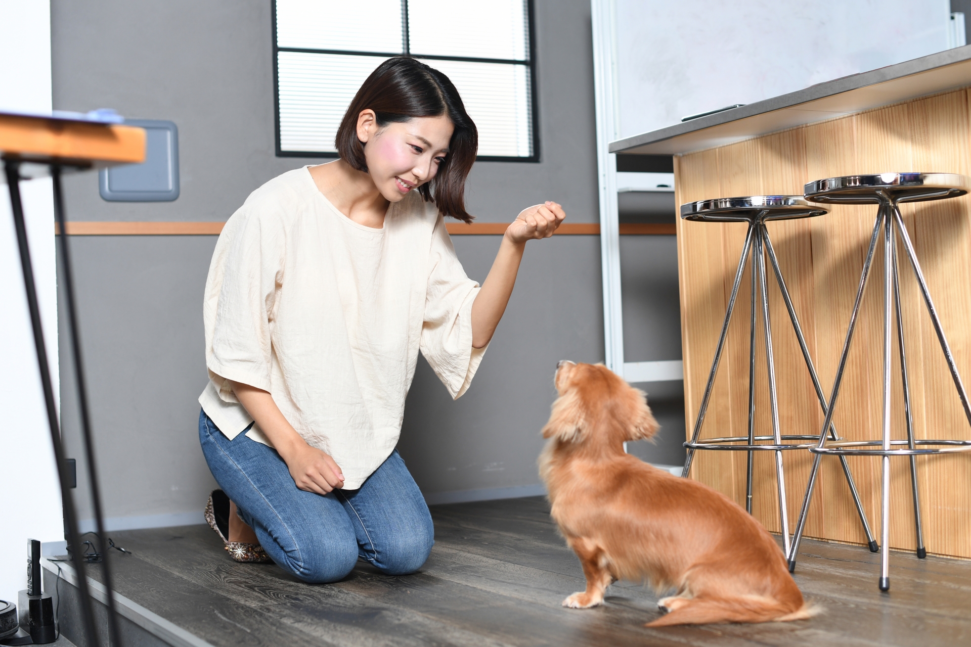 おやつって、どんなタイミングであげるのがいいの？ ～愛犬との距離を近づける“おやつ時間”の考え方～
