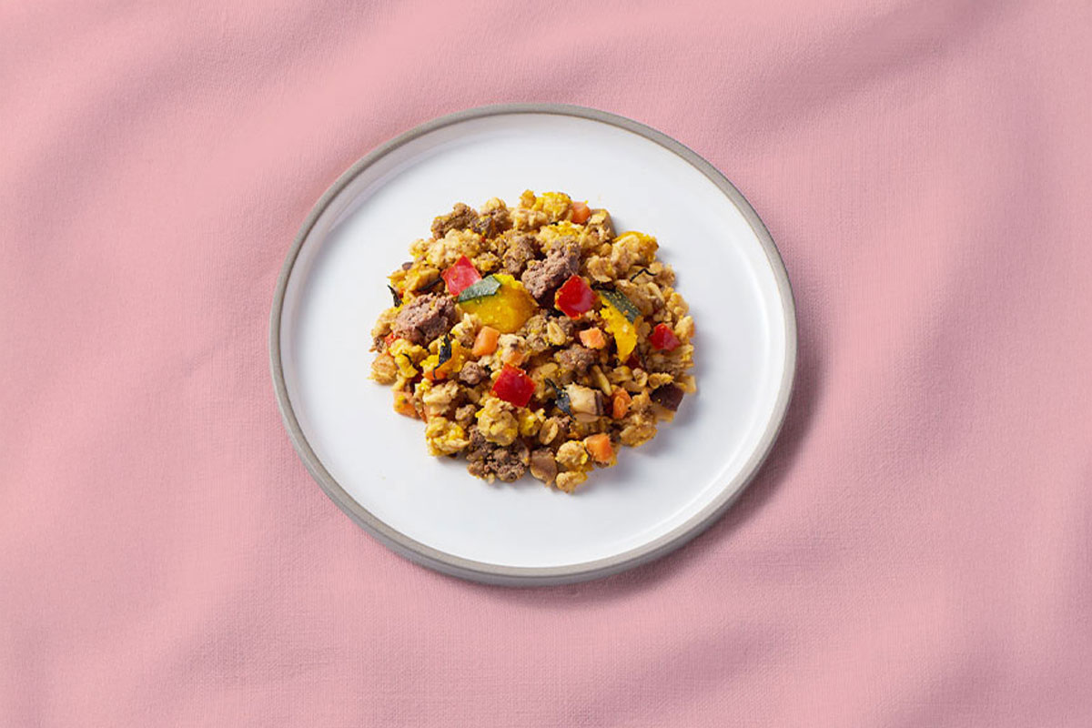 まごころごはんの原材料紹介｜馬肉の栄養とメリット