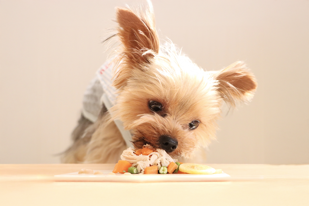 アレンジごはんは“がんばらない”くらいがちょうどいい ～ちょい足しを楽しむための考え方～